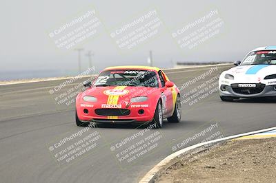 media/Jan-26-2025-CalClub SCCA (Sun) [[cfcea7df88]]/Group 4/Race/